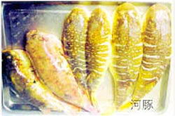 美食:慧眼天下名鱼档案